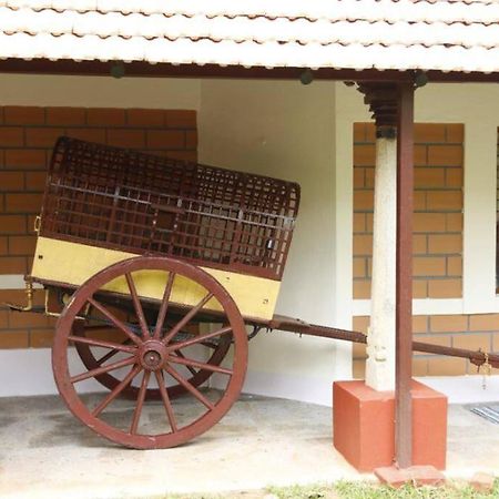 'Vrindavan' In Heritage City Mysuru المظهر الخارجي الصورة