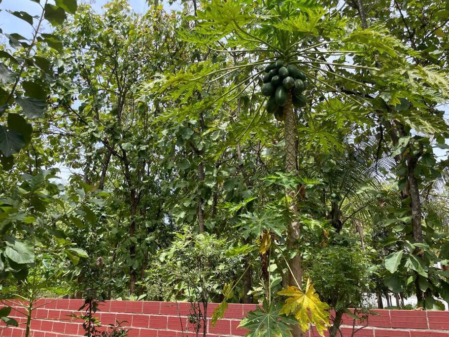'Vrindavan' In Heritage City Mysuru المظهر الخارجي الصورة